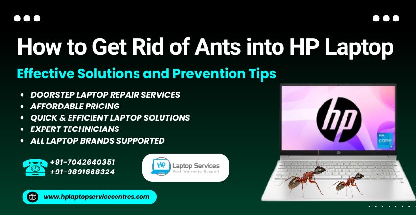ants into hp laptop